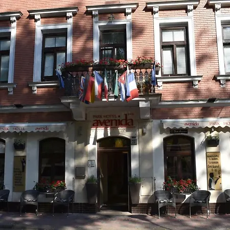 Hotel Avenida Park